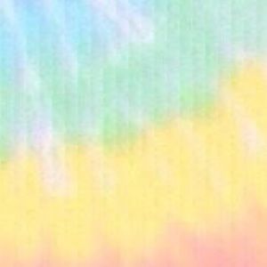 Meet your Posher, Katelyn